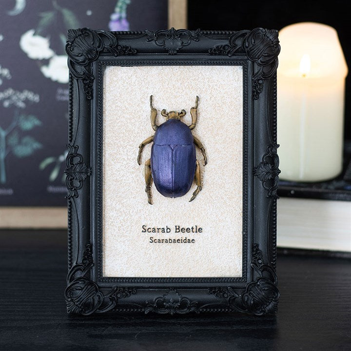 Scarab Beetle Framed Wall Art Print 🇬🇧