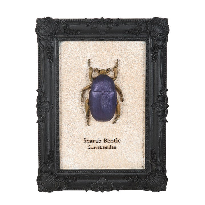 Scarab Beetle Framed Wall Art Print 🇬🇧