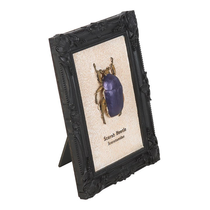 Scarab Beetle Framed Wall Art Print 🇬🇧