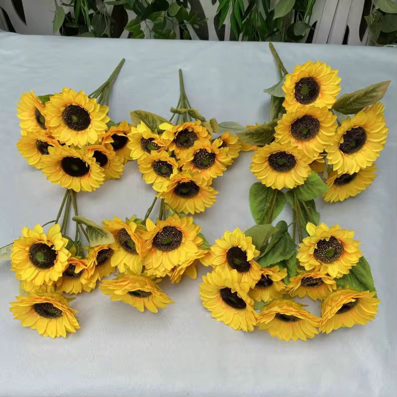 5 flower, SUNFLOWER 🇬🇧