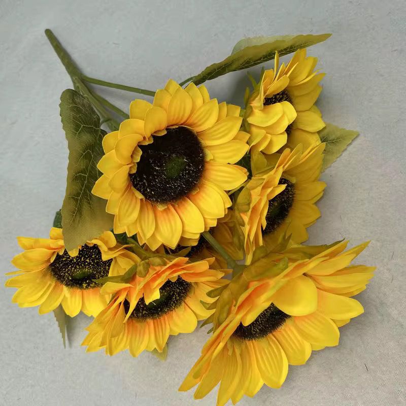 5 flower, SUNFLOWER 🇬🇧
