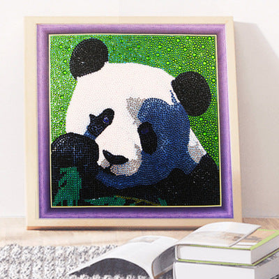 30cm 5D Diamond Painting Kit Stickers DIY Art Craft Kid Gift 🇨🇳