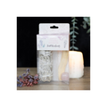 Smudge Kit with Rose Quartz Crystal
