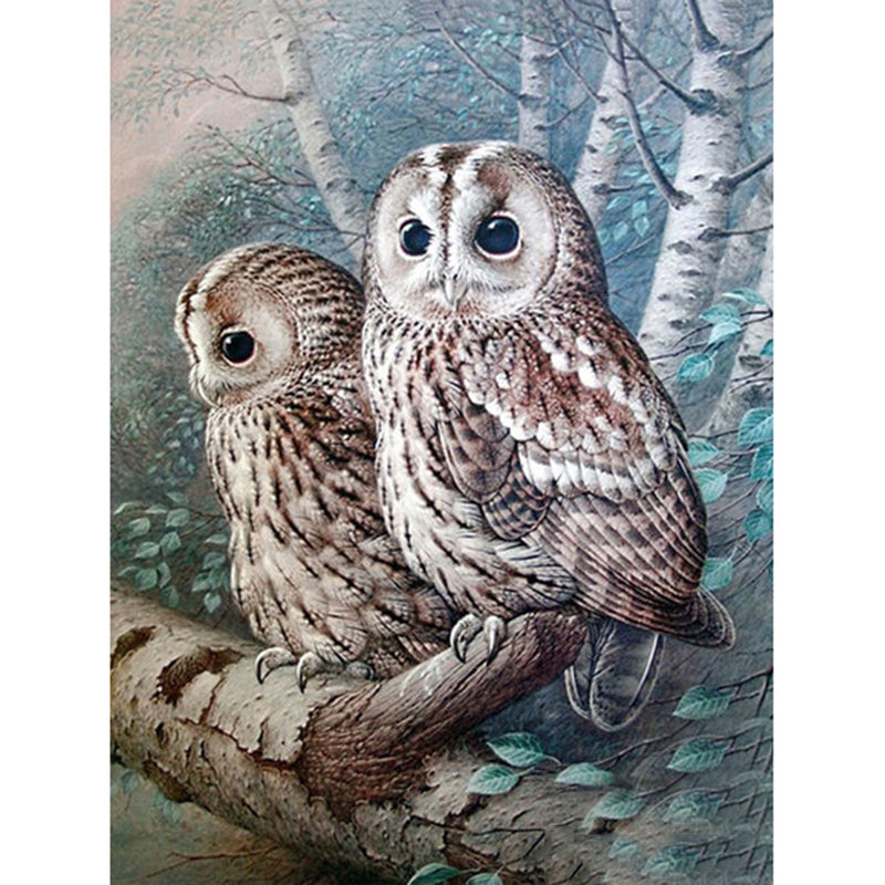Forest Owl Diamond Art 🇨🇳