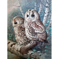 Forest Owl Diamond Art 🇨🇳