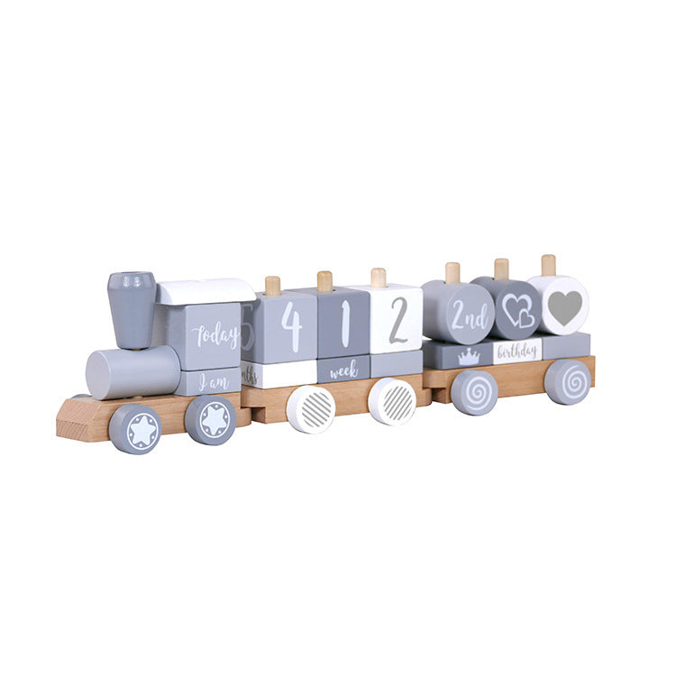 Fashion Small Train Early Education Wooden Toys 🇨🇳