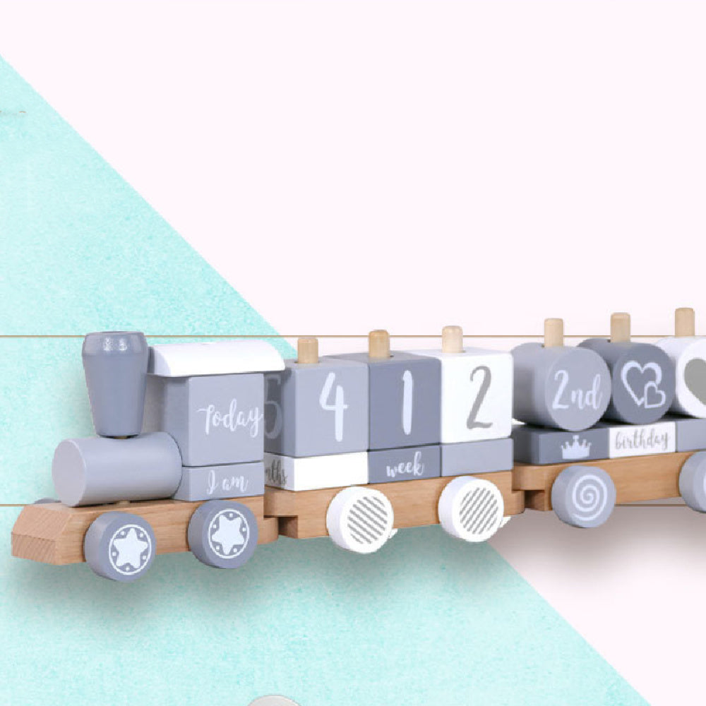 Fashion Small Train Early Education Wooden Toys 🇨🇳