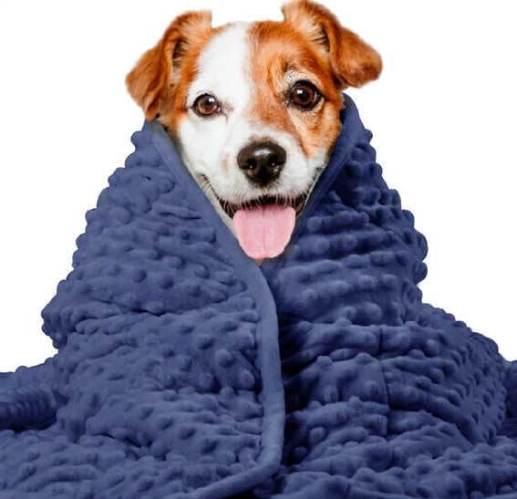 Pet Dog Washable Anxiety Thunder Blanket 🇨🇳