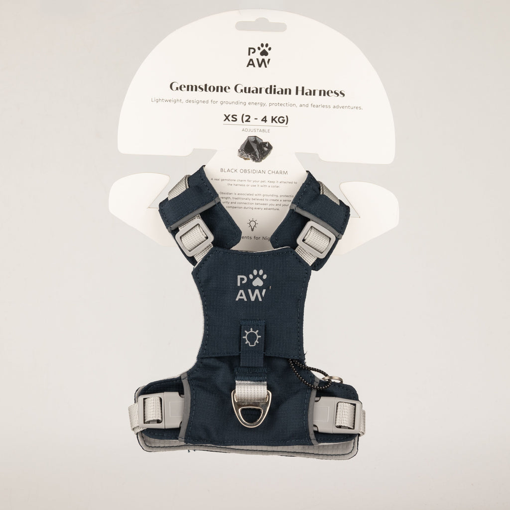 PAW - XS (2-4Kg) Dog Step-in Guardian Harness with Reflective Mesh - Rock Grey - Black Obsidian Charm 🇬🇧