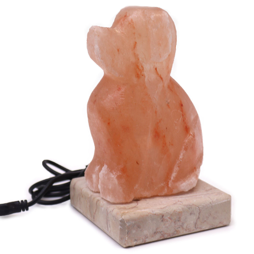 USB Dog Shaped (Multi) 🇬🇧