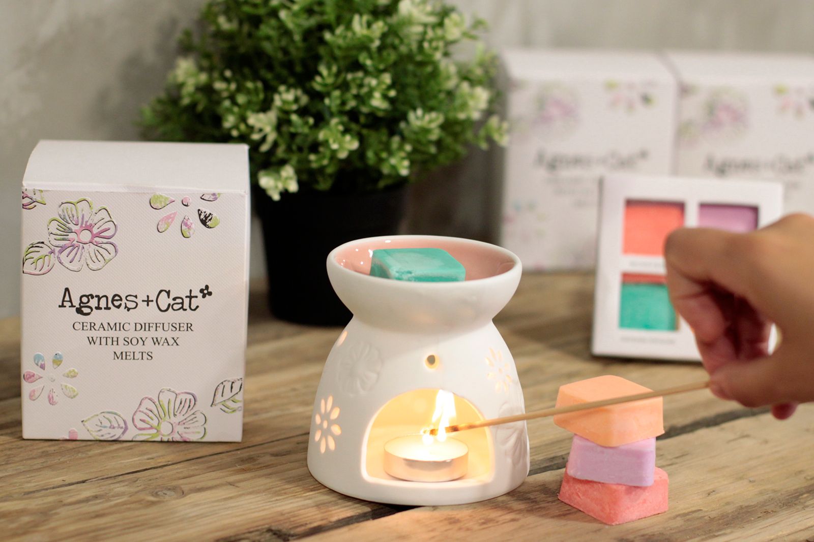 Wax Melter with Four Soy Wax Melts 🇬🇧