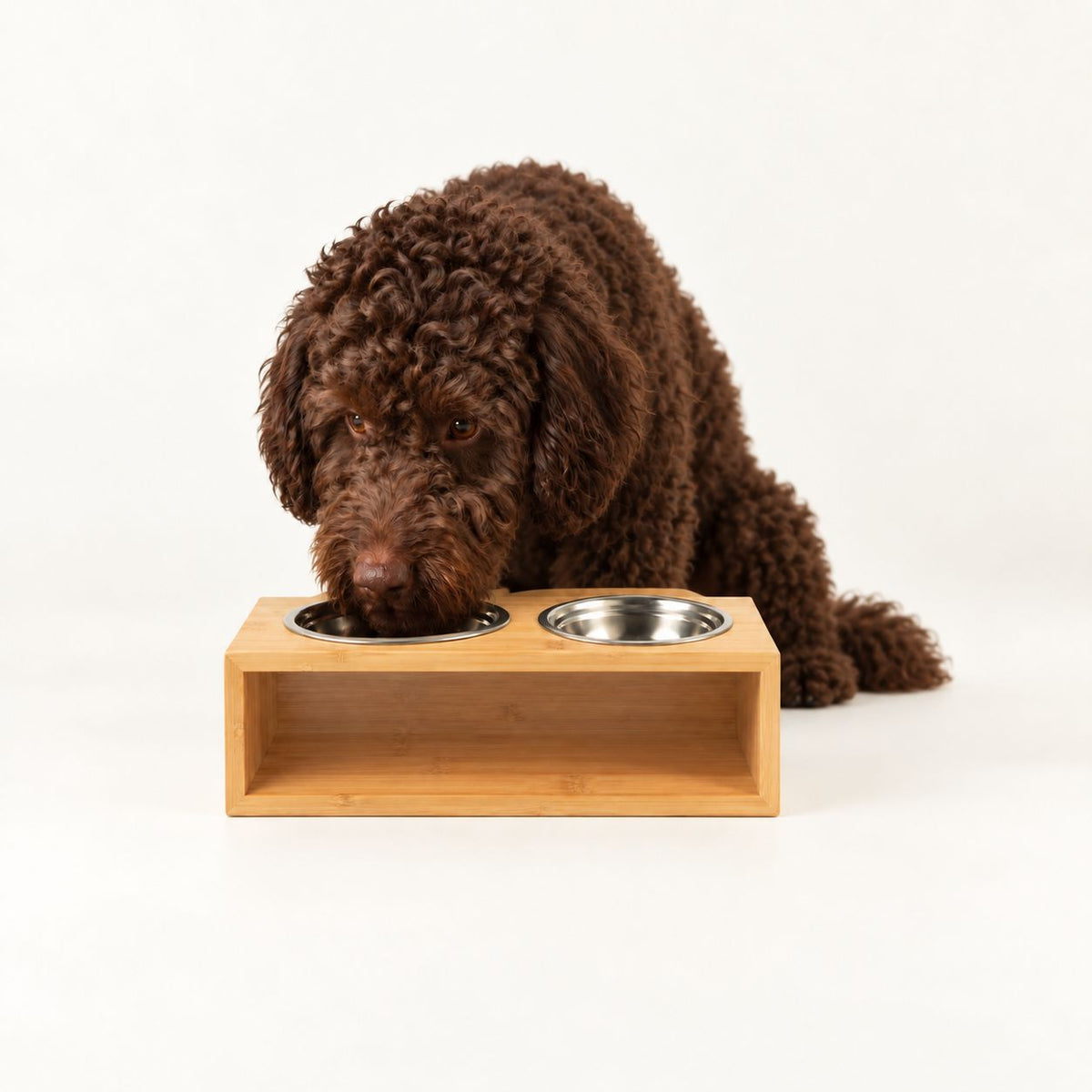 PAW Food Bowls - Large Double Stainless Steel (201) in Wooden Stand - 2x13cm 🇬🇧