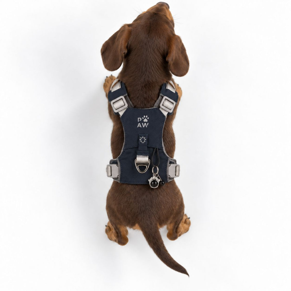 PAW - XS (2-4Kg) Dog Step-in Guardian Harness with Reflective Mesh - Rock Grey - Black Obsidian Charm 🇬🇧