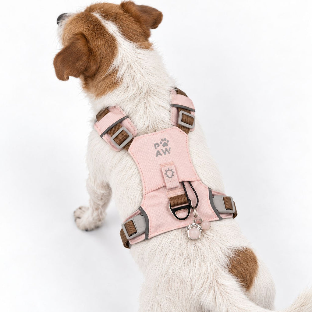 PAW - S (4-8Kg) Dog Step-in Guardian Harness with Reflective Mesh - Soft Pink - Rose Quartz Charm 🇬🇧