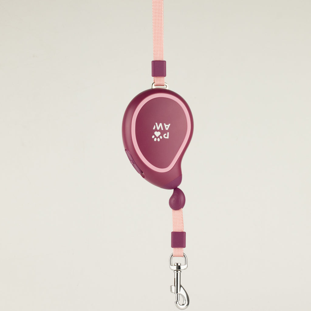 Paw Pet Leash - Mini Mango - Plum - 3m 🇬🇧