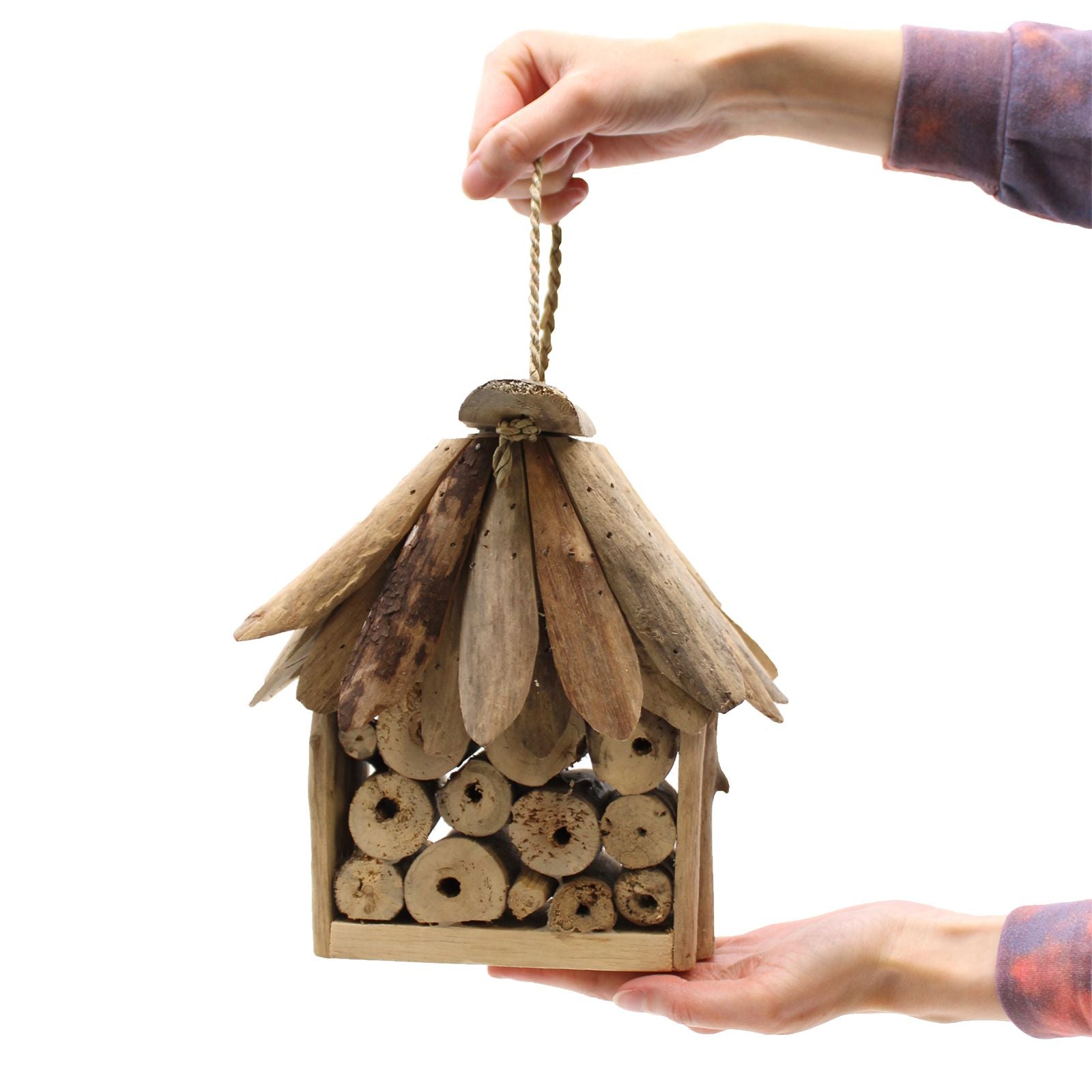 Driftwood Bee & Insect Box 🇬🇧