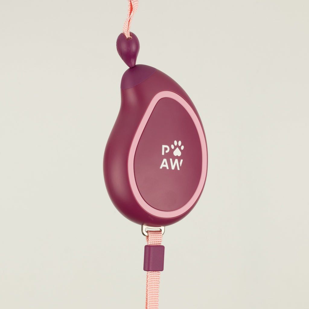 Paw Pet Leash - Mini Mango - Plum - 3m 🇬🇧