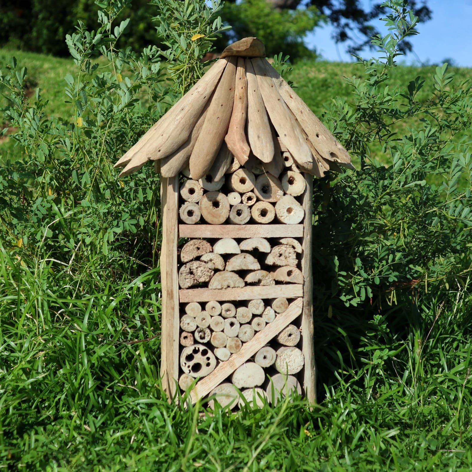 Driftwood Bee & Insect Highrise Box 🇬🇧