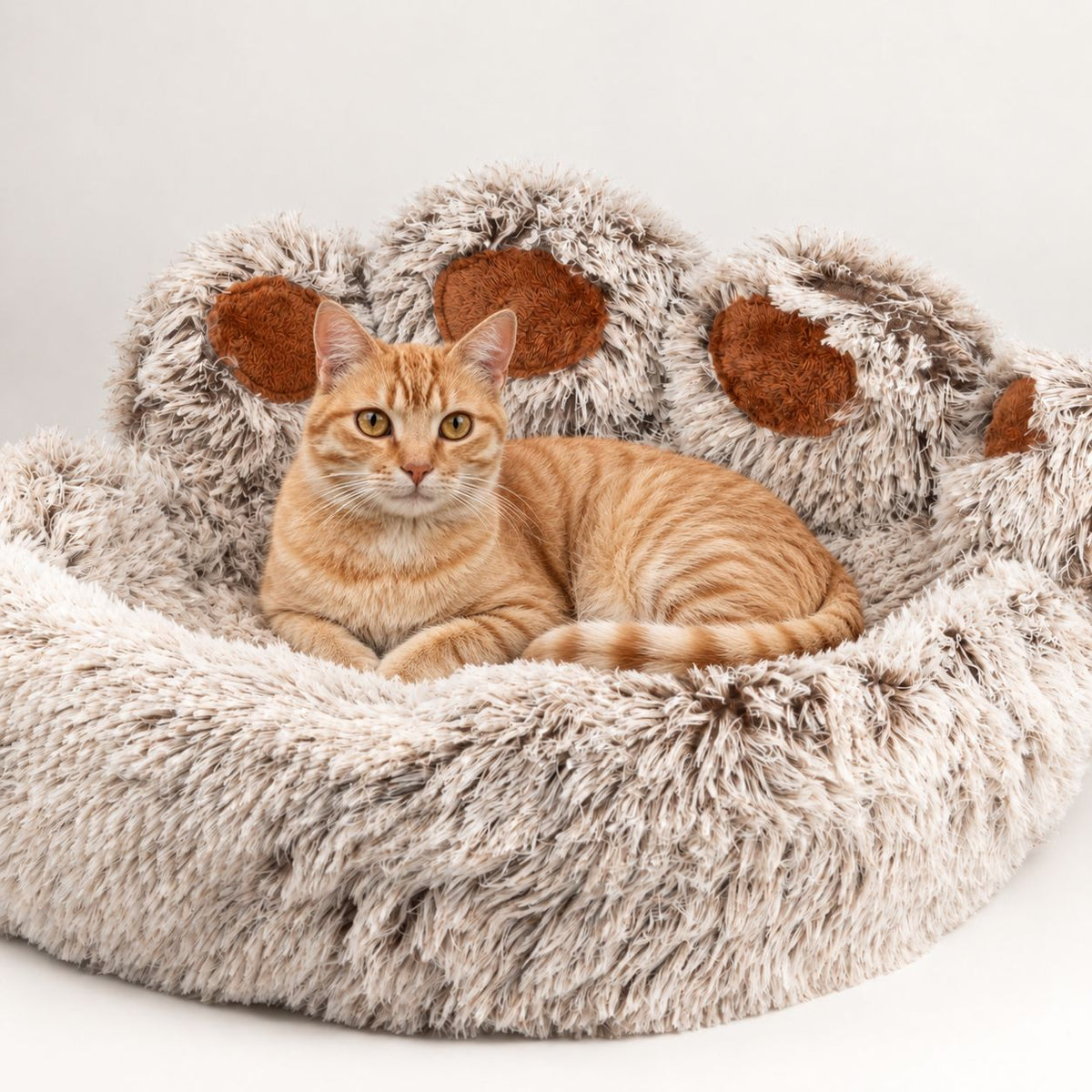 PAW Bed – Large Big Paw – 70cm 🇬🇧