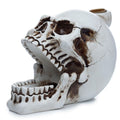 Skull with Open Mouth Backflow Incense Burner 🇬🇧