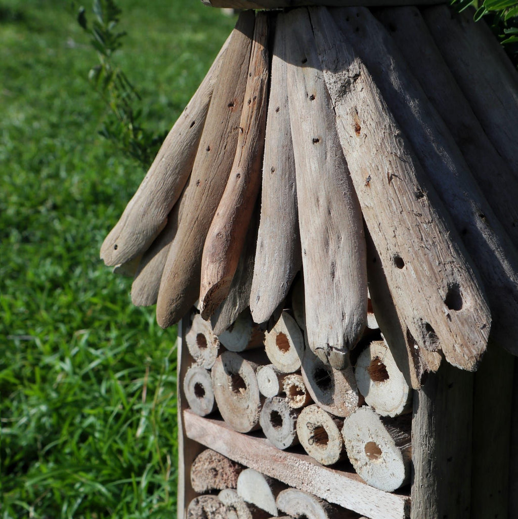Driftwood Bee & Insect Highrise Box 🇬🇧