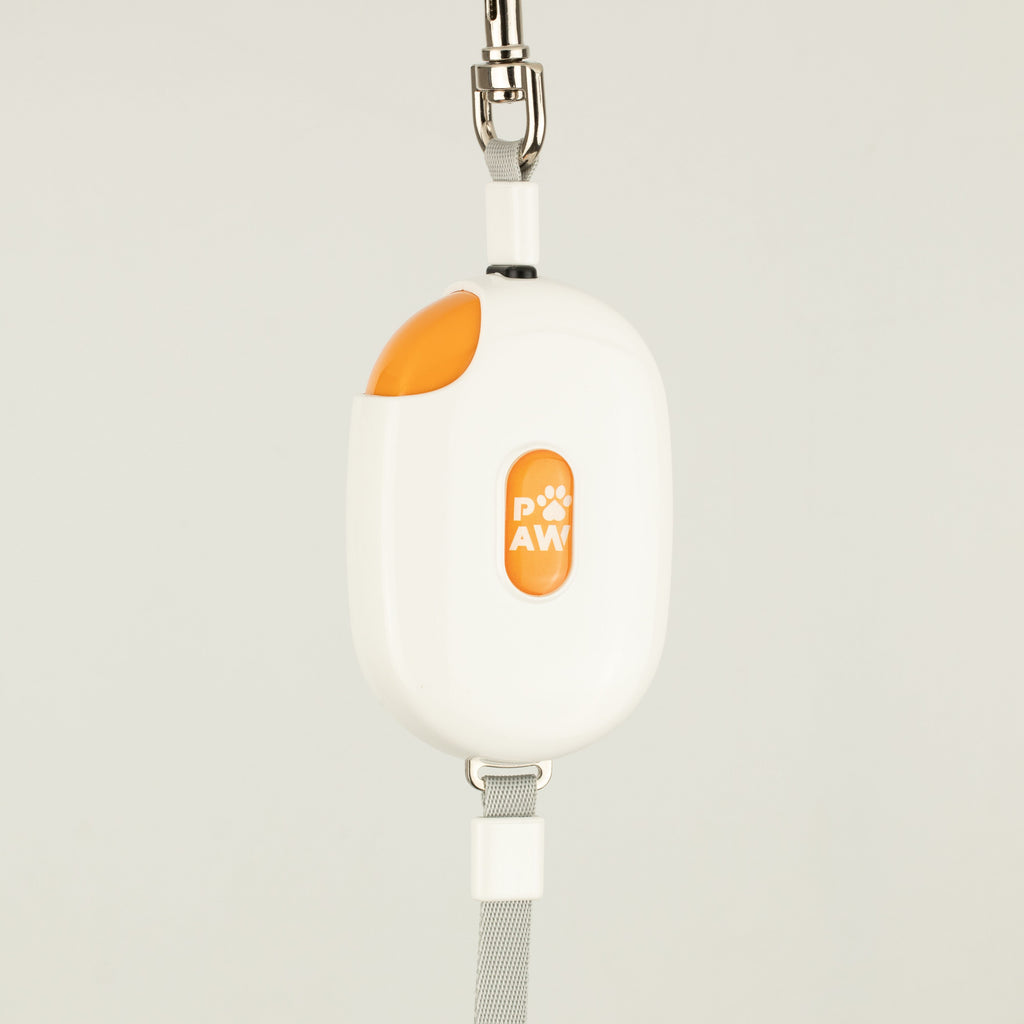 Paw Pet Leash - Pocket Pod - White - 1.5m 🇬🇧