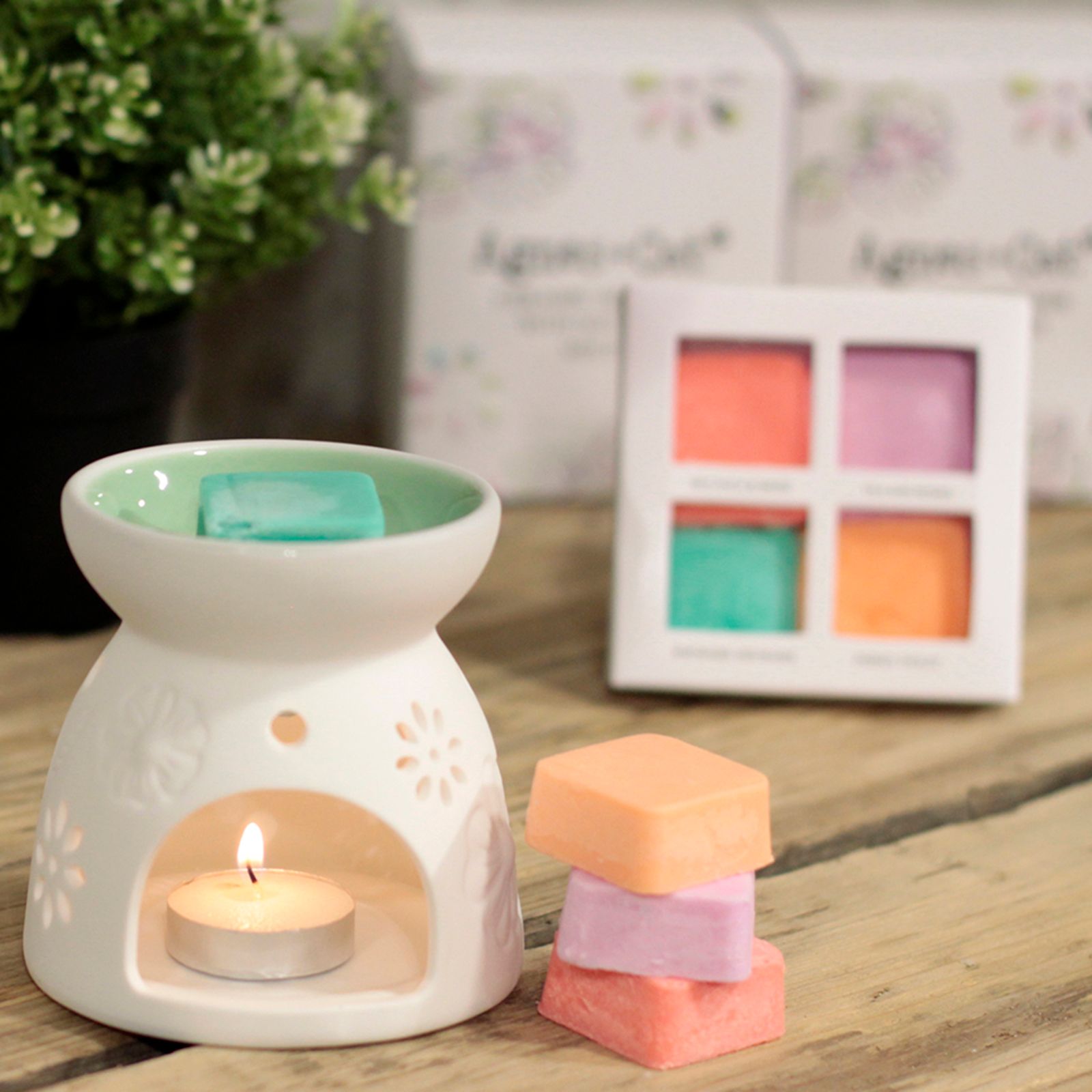Wax Melter with Four Soy Wax Melts 🇬🇧