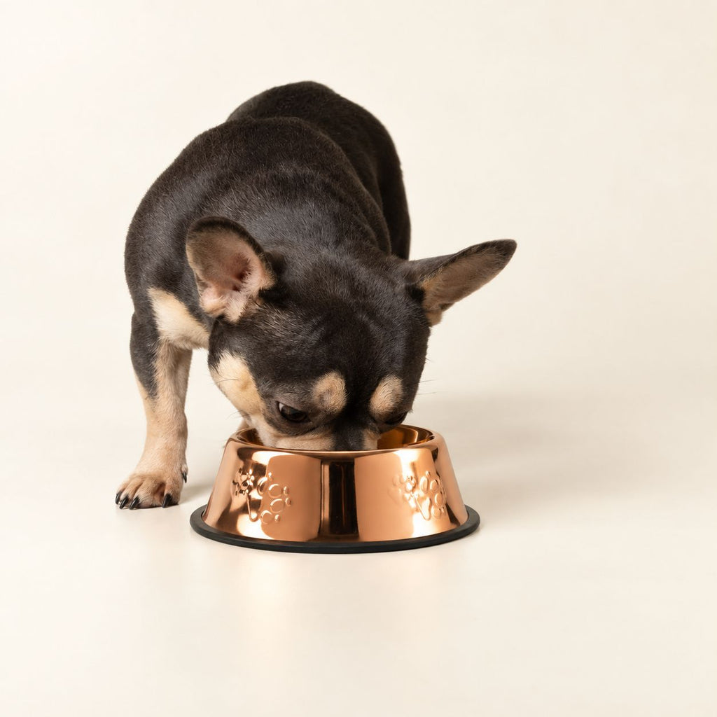 PAW Food Bowls - Single Copper Style - 18cm - Stainless Steel 🇬🇧