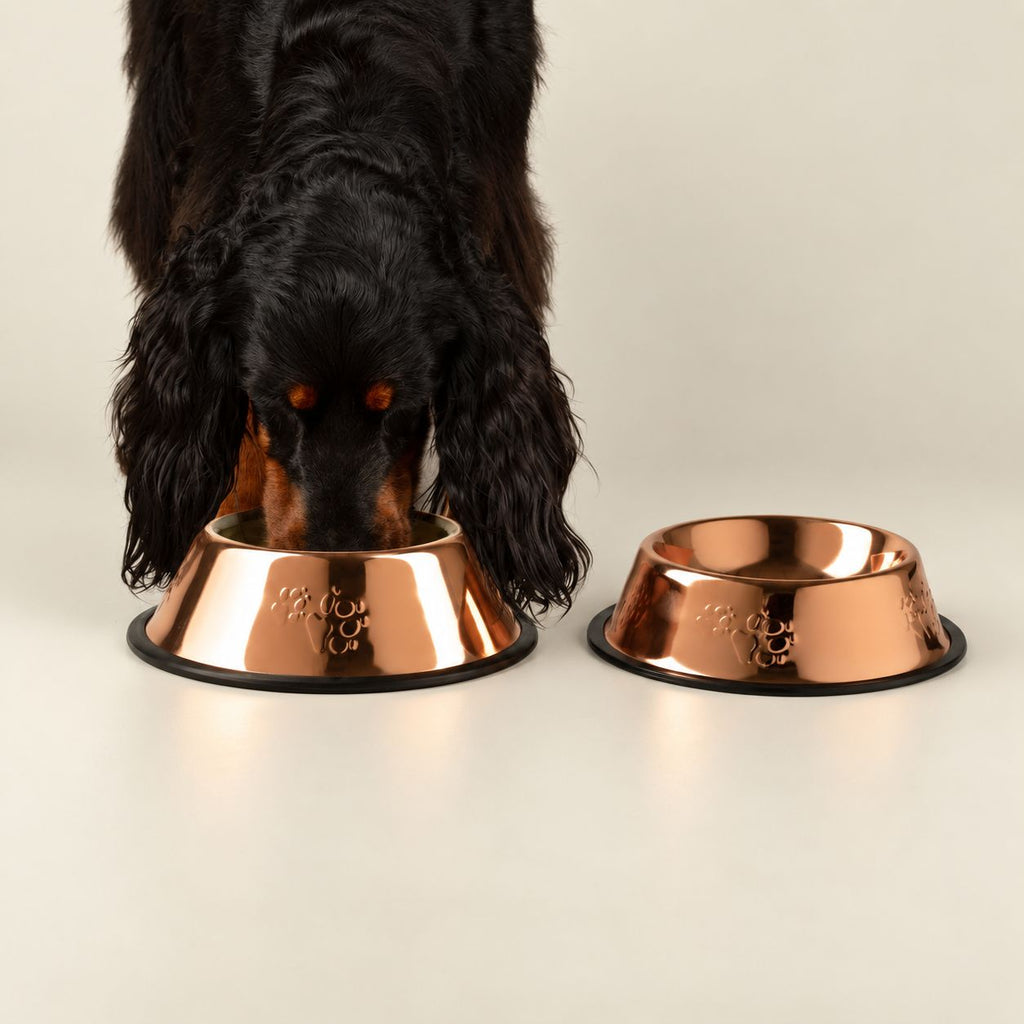 PAW Food Bowls -  Single Copper Style - 22cm - Stainless Steel (304) 🇬🇧