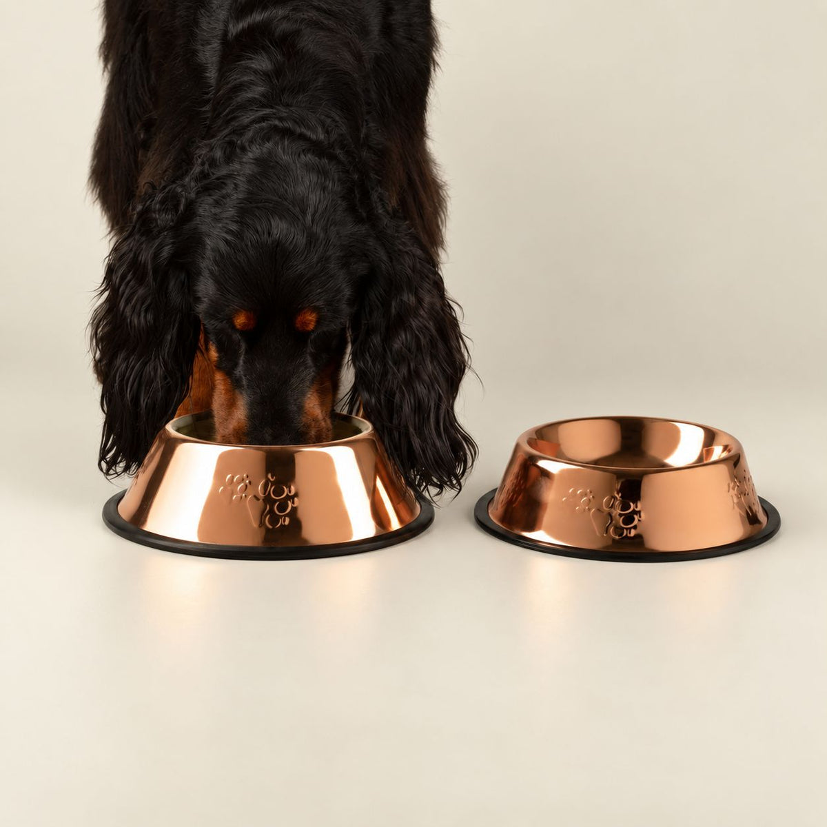 PAW Food Bowls -  Single Copper Style - 22cm - Stainless Steel (304) 🇬🇧