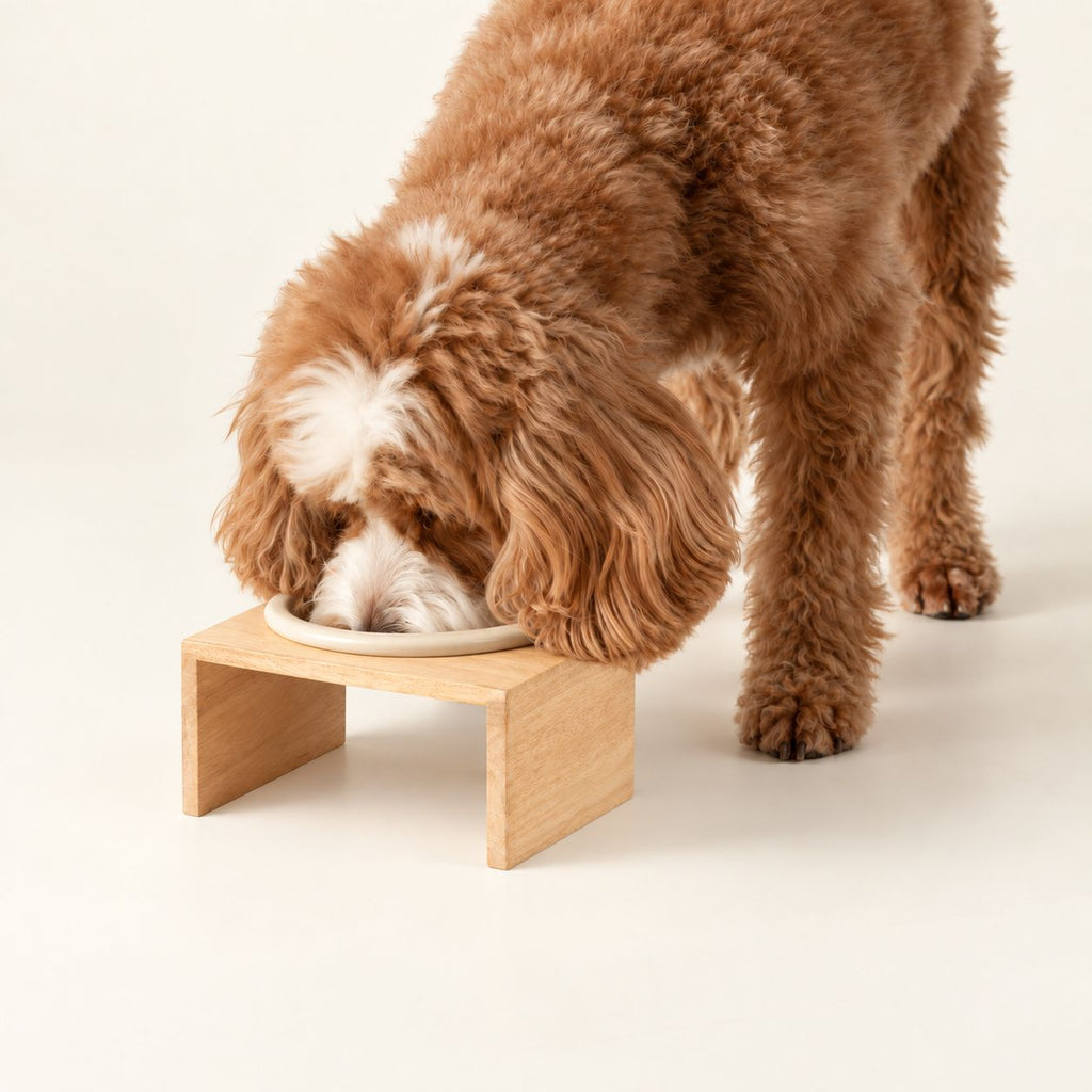 PAW Food Bowls - Large Single Ceramic in Wooden Stand - 14cm 🇬🇧