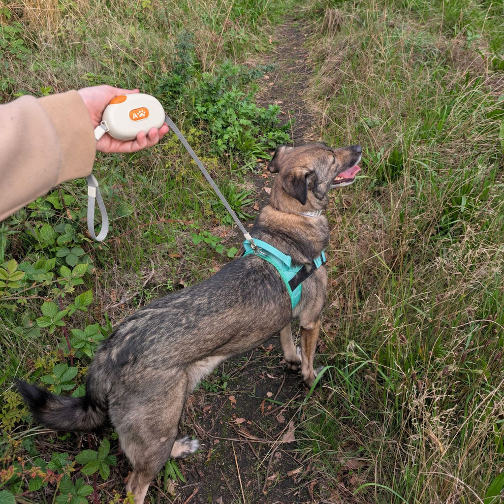Paw Pet Leash - Pocket Pod - White - 1.5m 🇬🇧