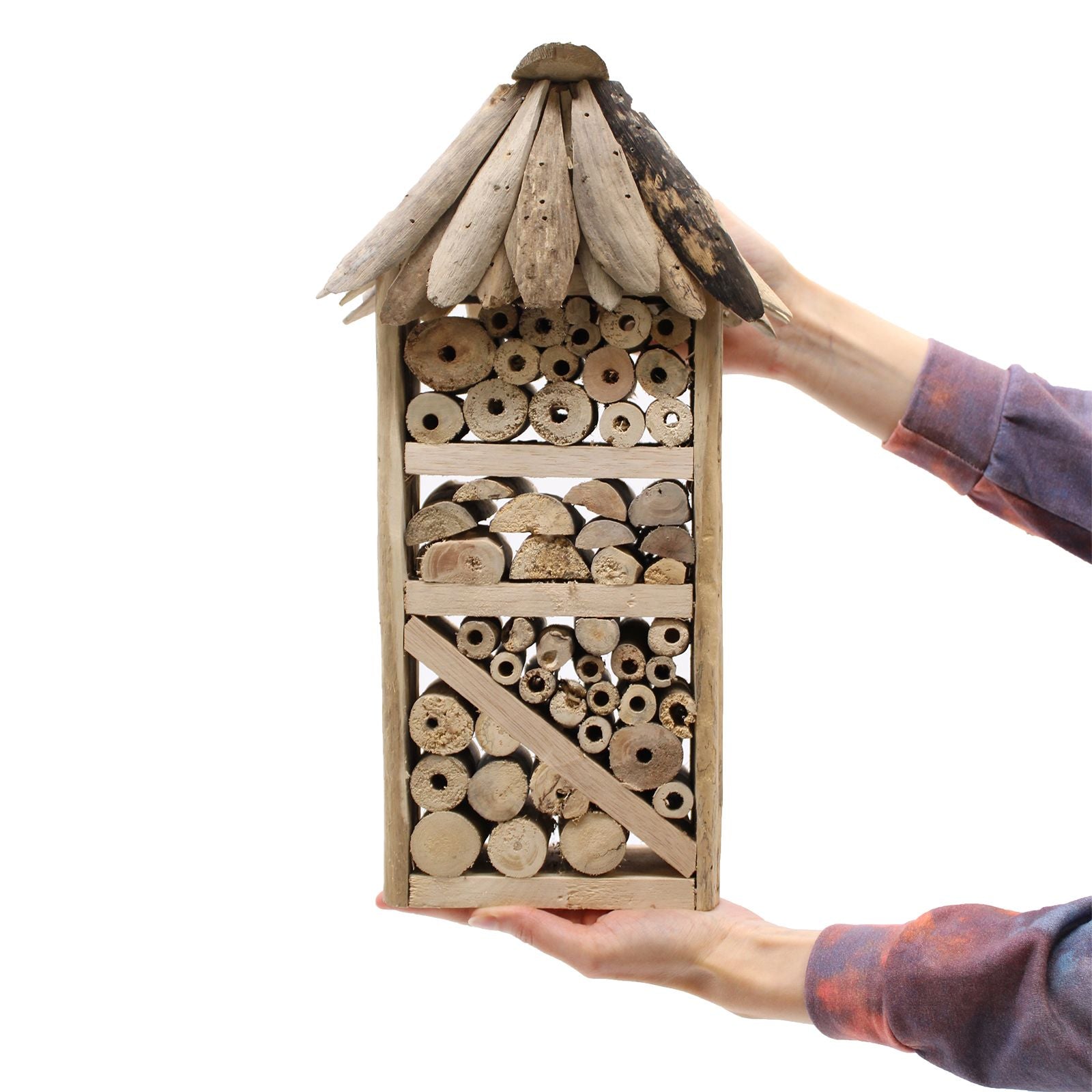 Driftwood Bee & Insect Highrise Box 🇬🇧