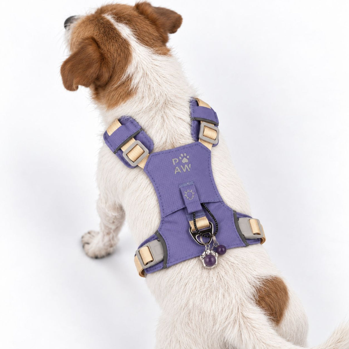 PAW - S (4-8Kg) Dog Step-in Guardian Harness with Reflective Mesh - Lavender - Amethyst Charm 🇬🇧