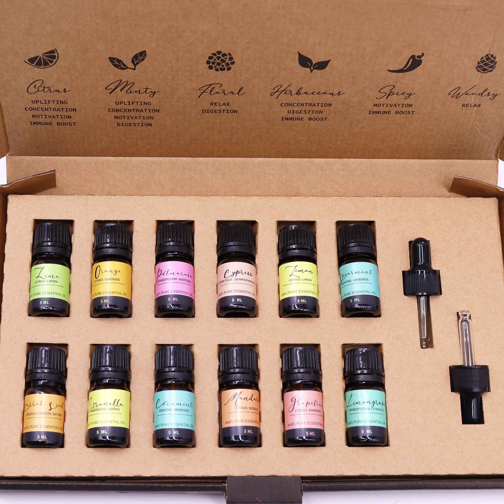 Aromatherapy Essential Oil Set - Summer 🇬🇧