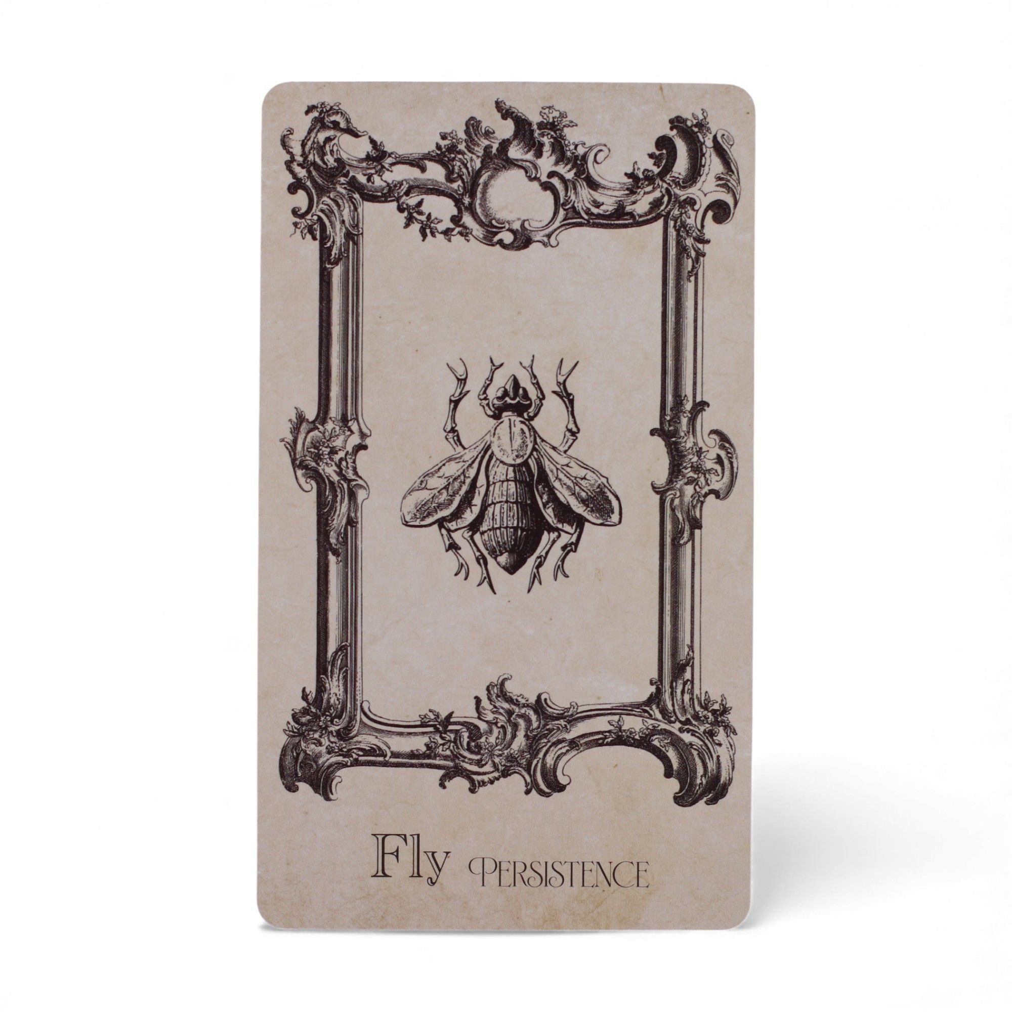 The Spellbook Oracle Cards- Witchcraft Deck 🇬🇧