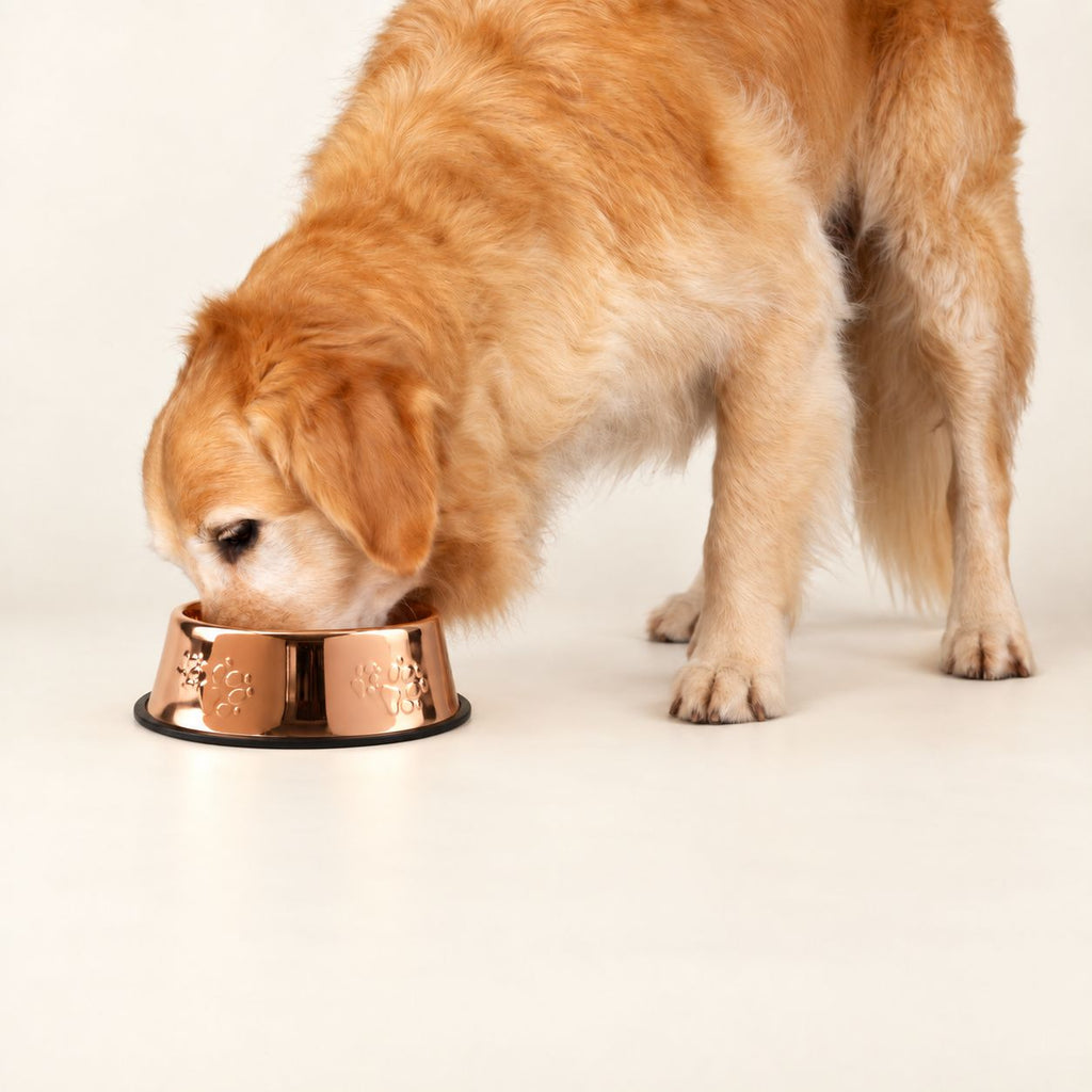 PAW Food Bowls -  Single Copper Style - 22cm - Stainless Steel (304) 🇬🇧