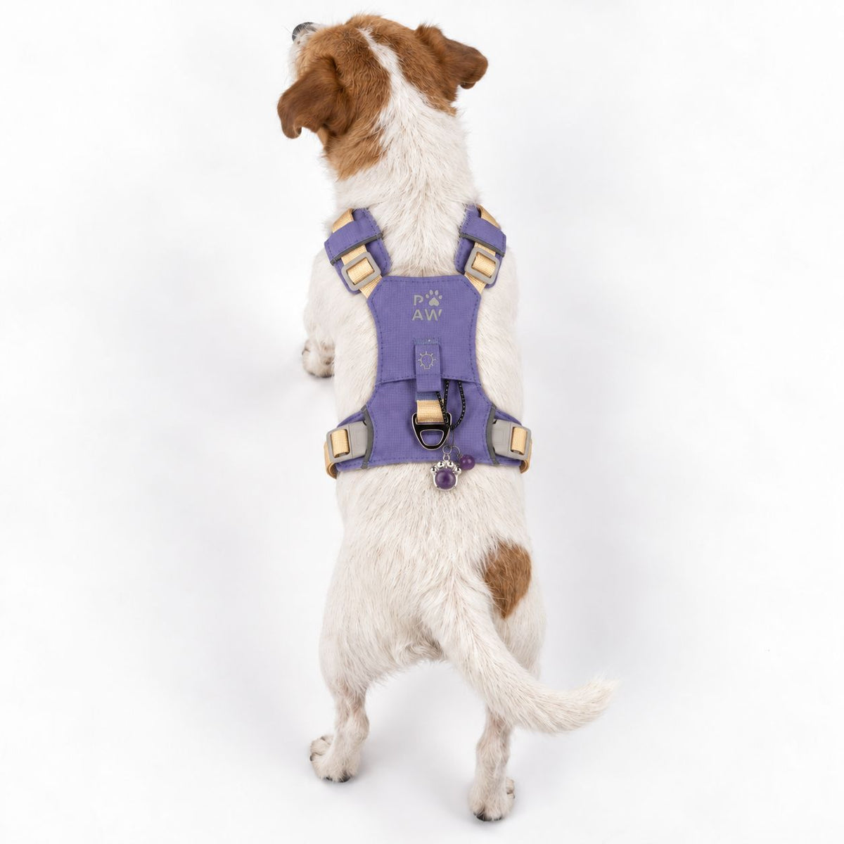PAW - S (4-8Kg) Dog Step-in Guardian Harness with Reflective Mesh - Lavender - Amethyst Charm 🇬🇧