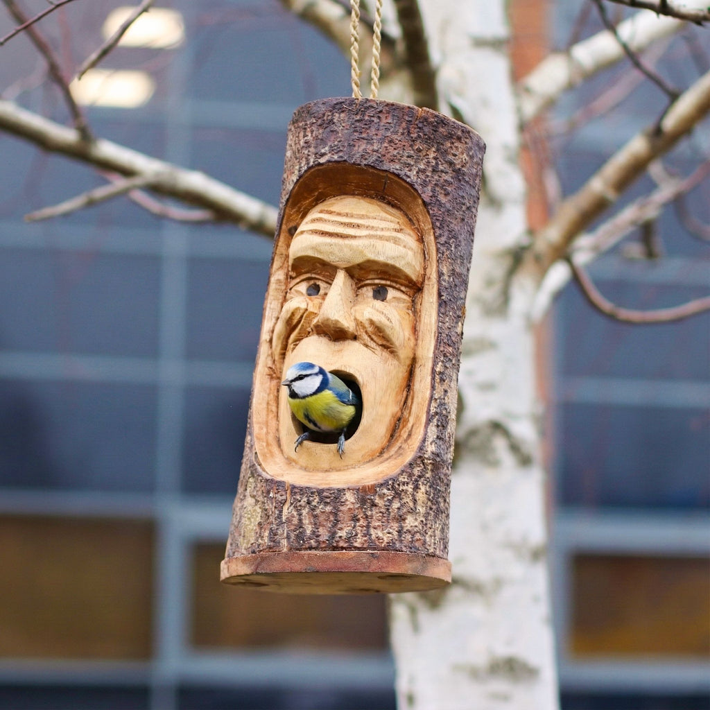 Tree Trunk Face - Bird House - Grumpy Old Man 🇬🇧