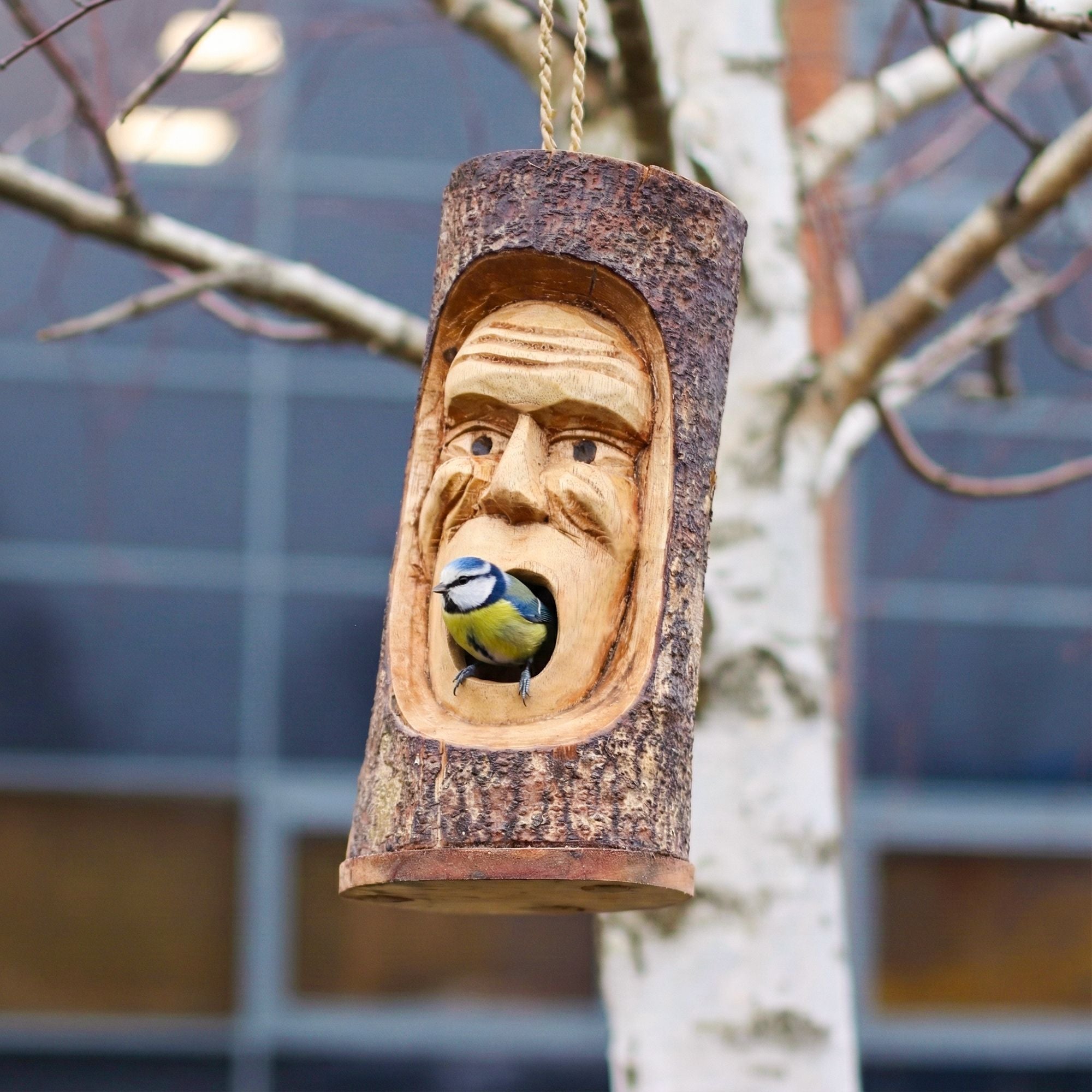 Tree Trunk Face - Bird House - Grumpy Old Man 🇬🇧