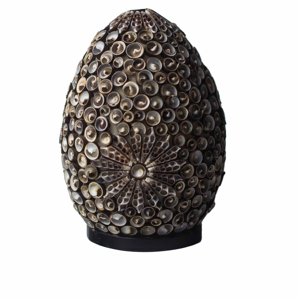 Boho Sea Shell Lamp - Chocolate Twist Oval - 20cm 🇬🇧