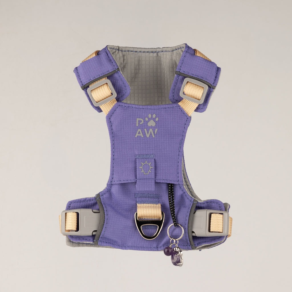 PAW - XS (2-4Kg) Dog Step-in Guardian Harness with Reflective Mesh - Lavender - Amethyst Charm 🇬🇧