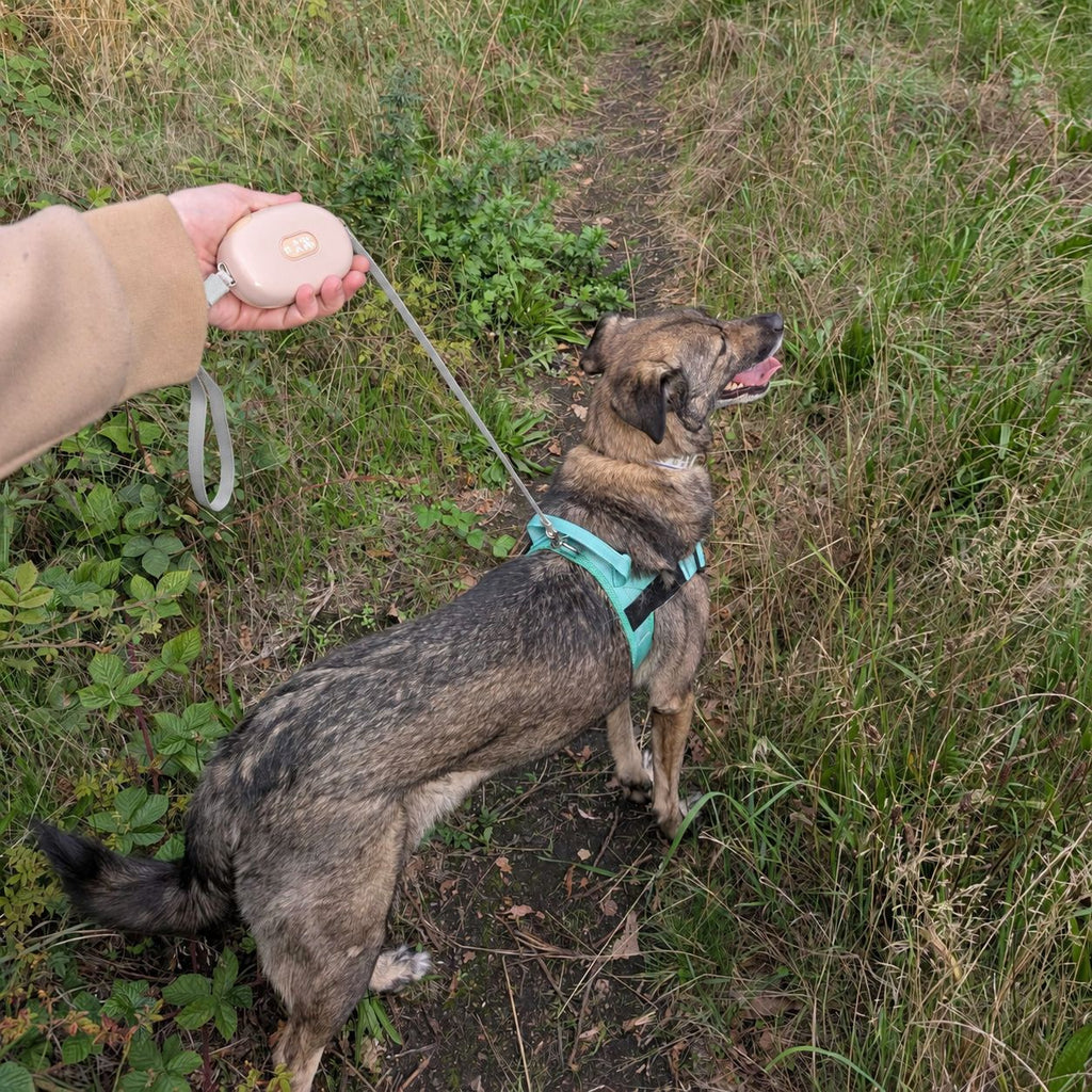 Paw Pet Leash - Pocket Pod - Pink - 1.5m 🇬🇧