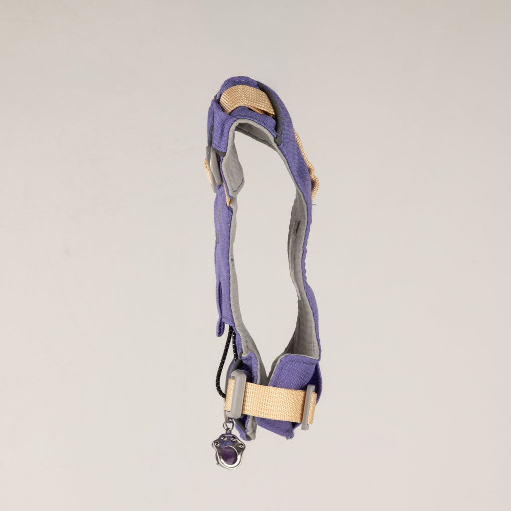 PAW - XS (2-4Kg) Dog Step-in Guardian Harness with Reflective Mesh - Lavender - Amethyst Charm 🇬🇧