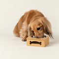 PAW Food Bowls - Single Stainless Steel (201) in Wooden Stand - 12cm 🇬🇧