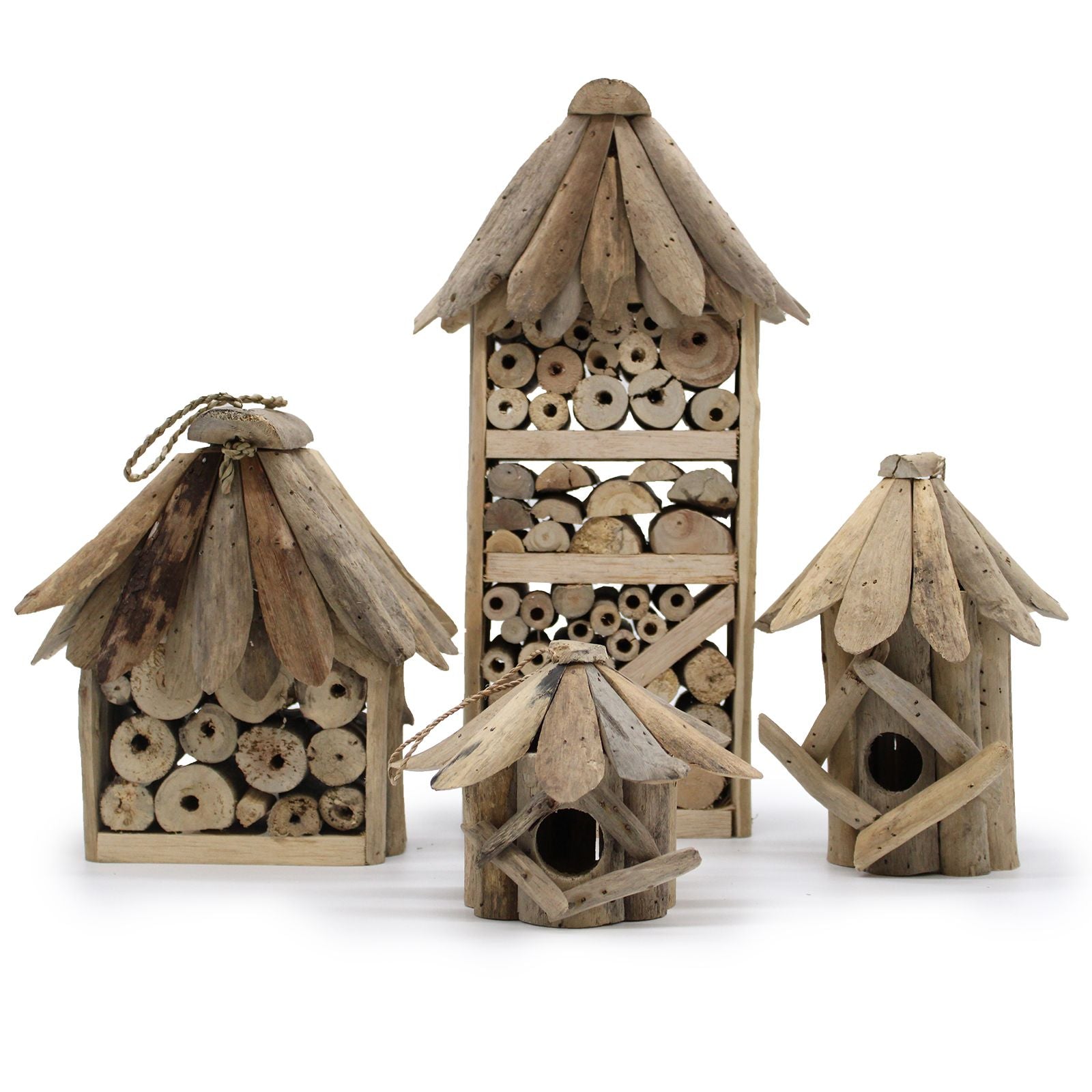 Driftwood Bee & Insect Highrise Box 🇬🇧