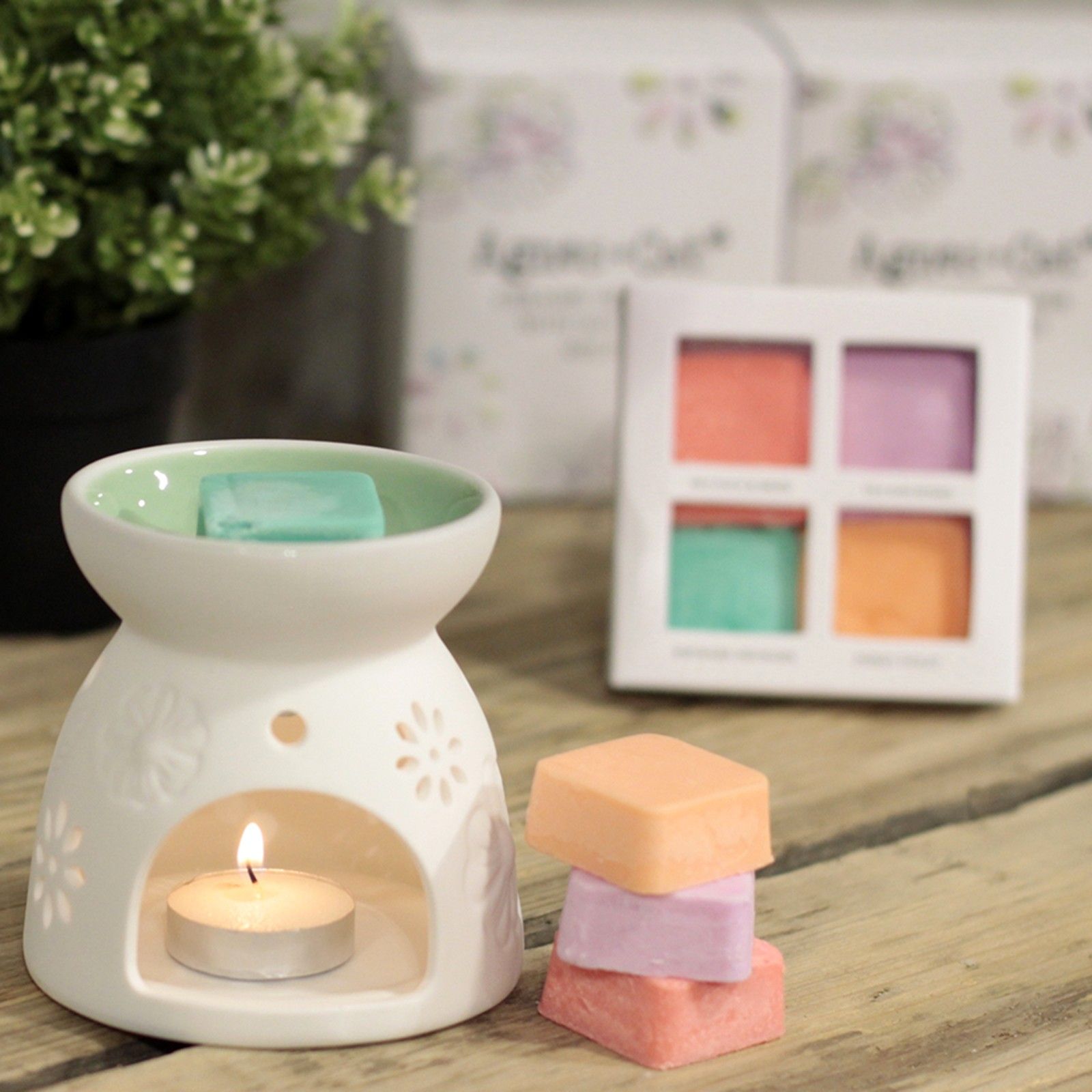 Wax Melter with Four Soy Wax Melts 🇬🇧