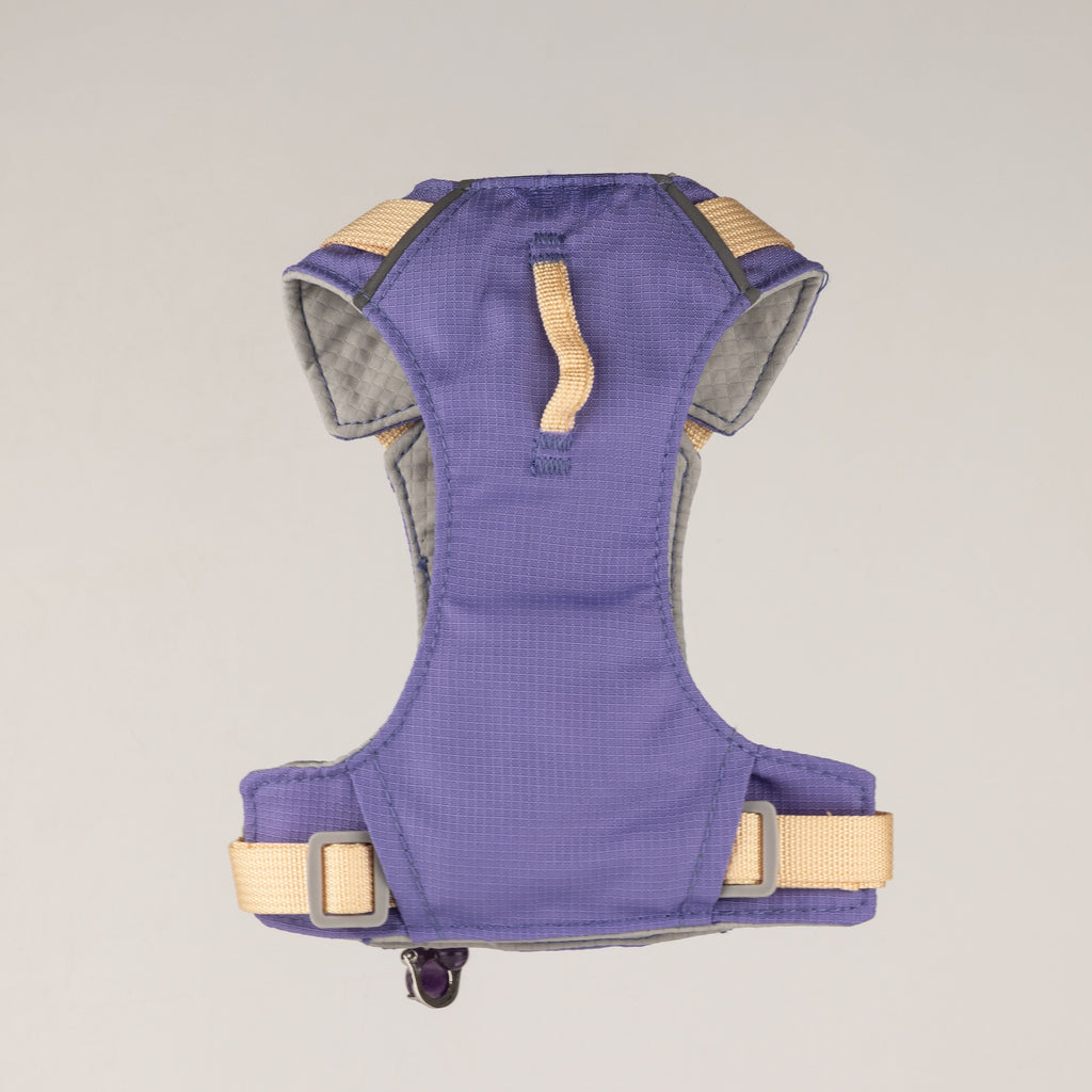 PAW - XS (2-4Kg) Dog Step-in Guardian Harness with Reflective Mesh - Lavender - Amethyst Charm 🇬🇧