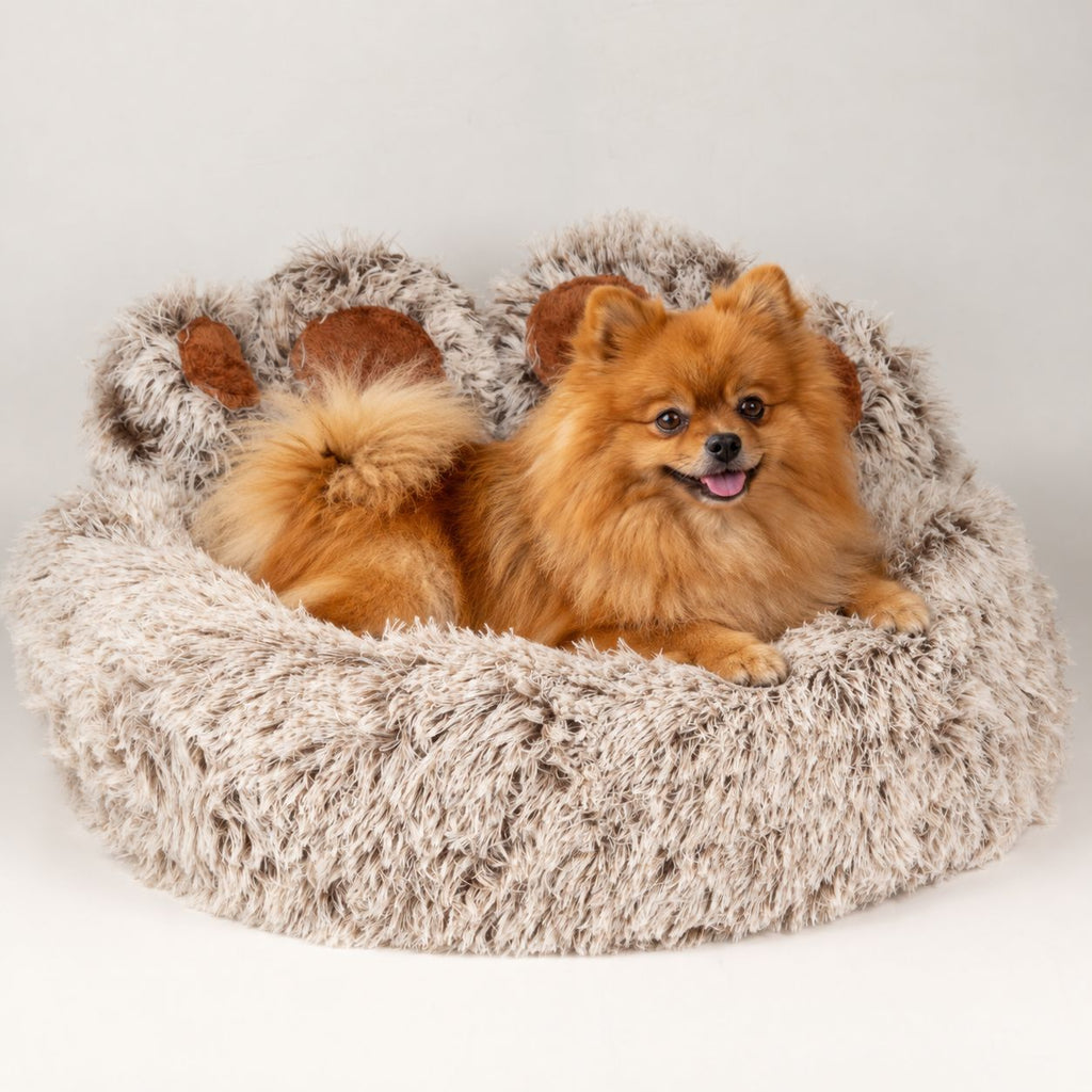 PAW Bed – Medium Big Paw – 60cm 🇬🇧