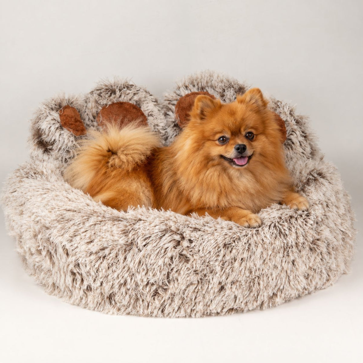 PAW Bed – Medium Big Paw – 60cm 🇬🇧